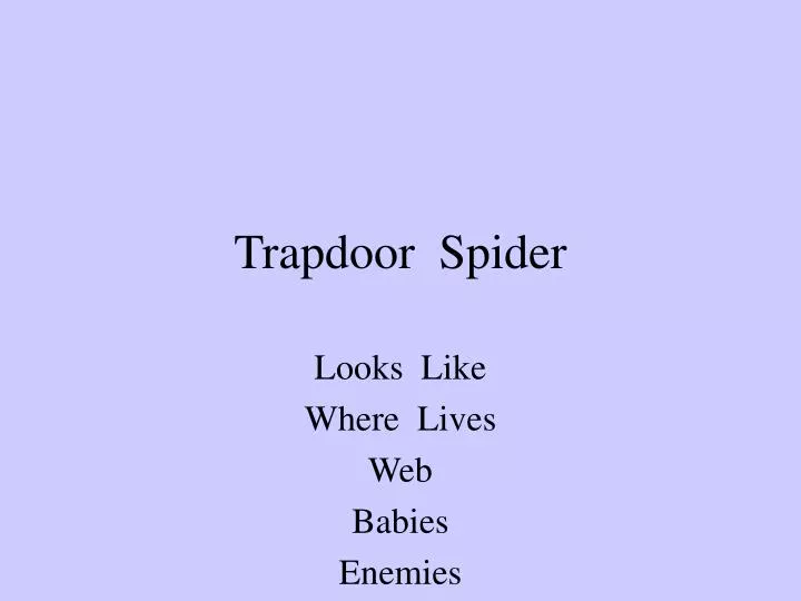 trapdoor spider