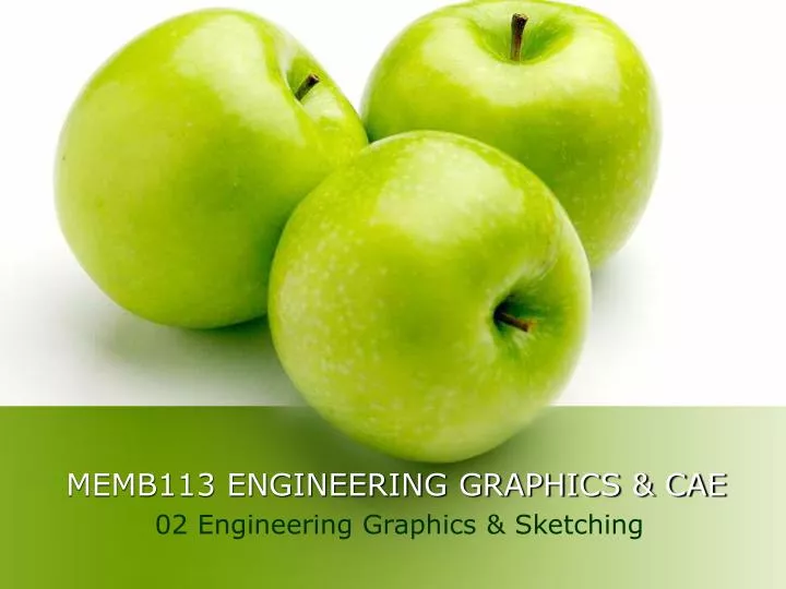 memb113 engineering graphics cae