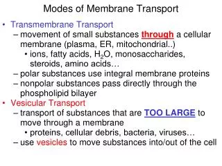 Modes of Membrane Transport