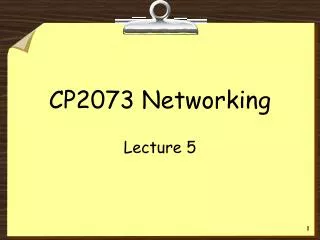 CP2073 Networking