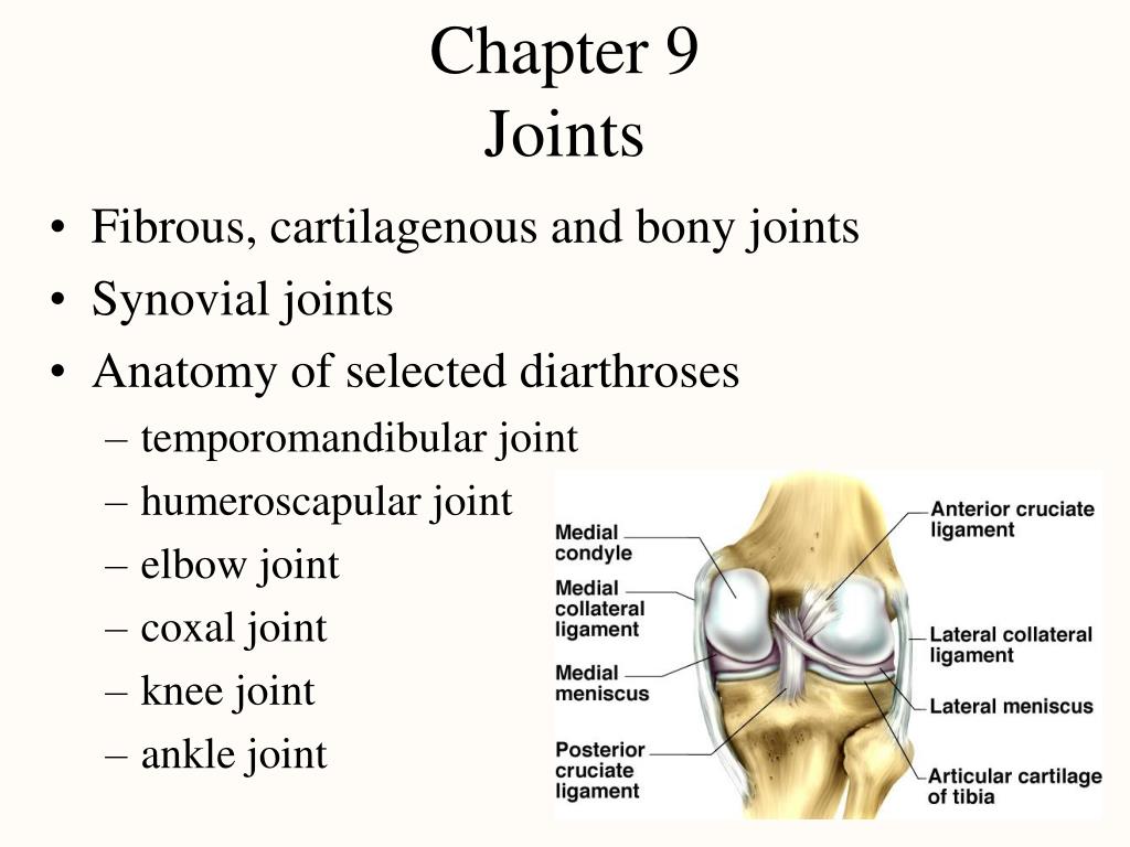PPT - Chapter 9 Joints PowerPoint Presentation, free download - ID:517446