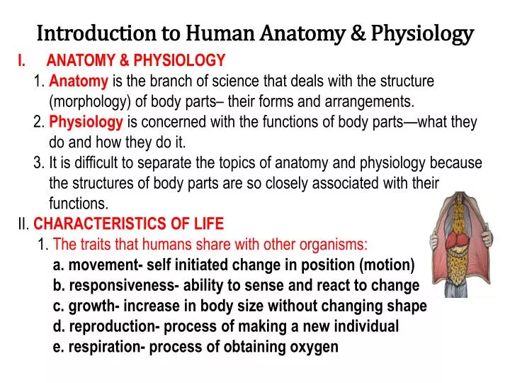 introduction to human anatomy physiology