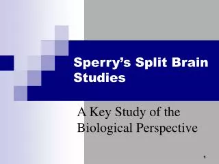 Sperry’s Split Brain Studies