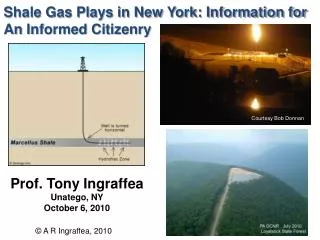 Shale Gas Plays in New York: Information for An Informed Citizenry