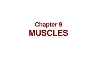 Chapter 9 MUSCLES