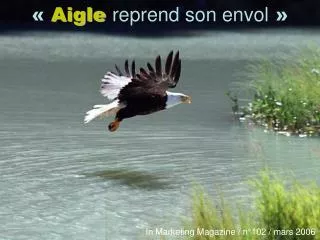« Aigle reprend son envol  »