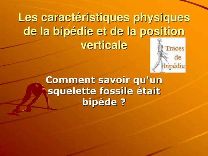 les caract ristiques physiques de la bip die et de la position verticale