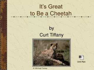 It’s Great to Be a Cheetah