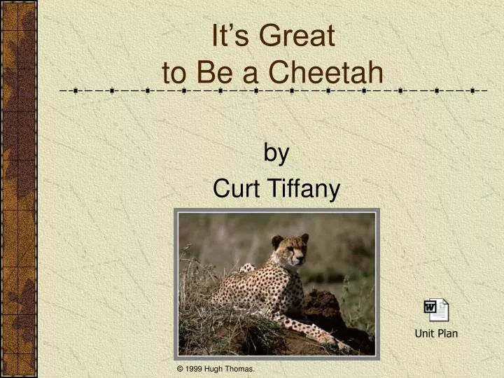 it s great to be a cheetah
