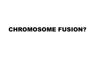 CHROMOSOME FUSION?