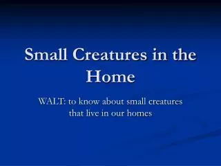 Small Creatures in the Home