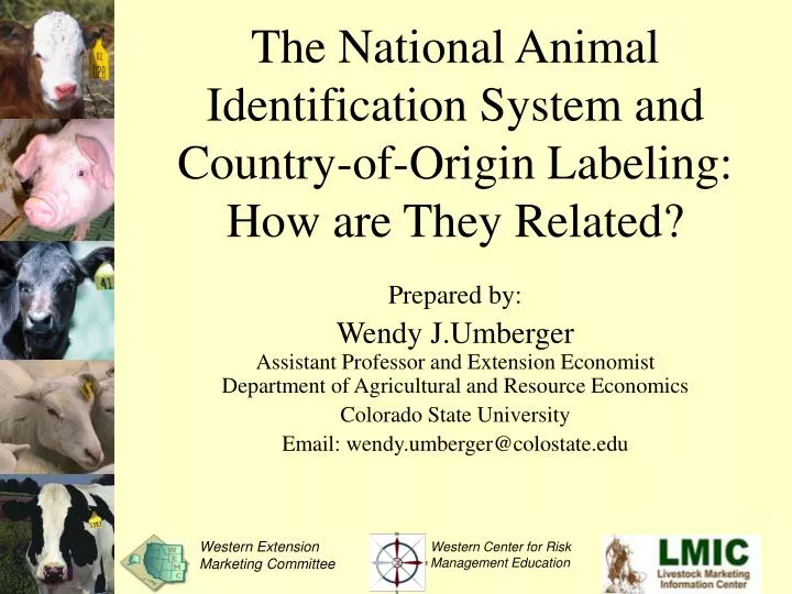 the national animal identification system and country of origin labeling how are they related