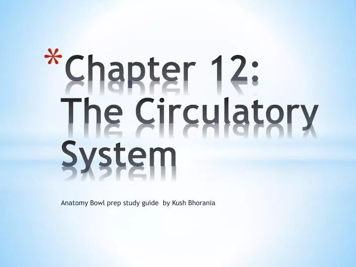 chapter 12 the circulatory system