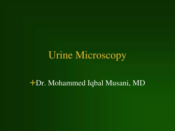 urine microscopy