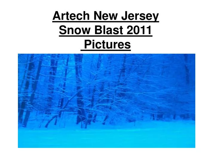 artech new jersey snow blast 2011 pictures