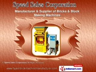 Semi automatic Fly Ash Bricks Machine Manufacturer