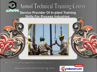 Training For PLC & DCS Systems & Training For Instrument E