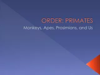 ORDER: PRIMATES