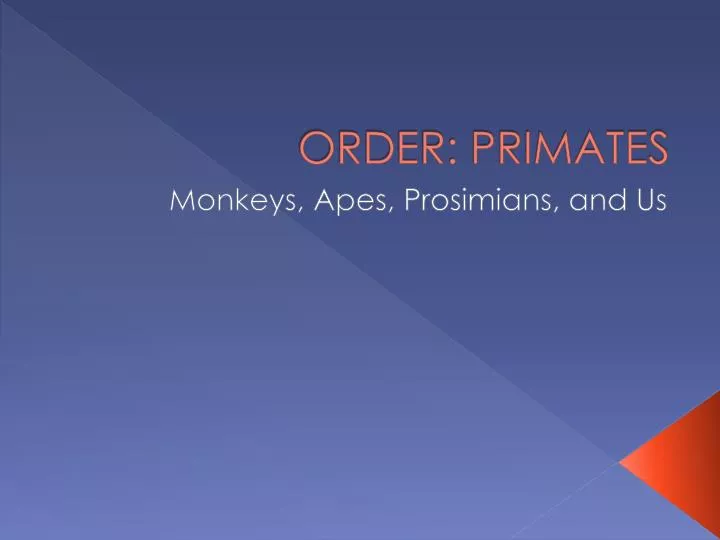 order primates
