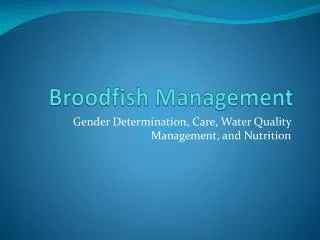 Broodfish Management