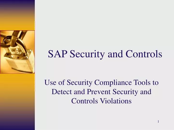 sap security and controls