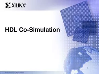 HDL Co-Simulation