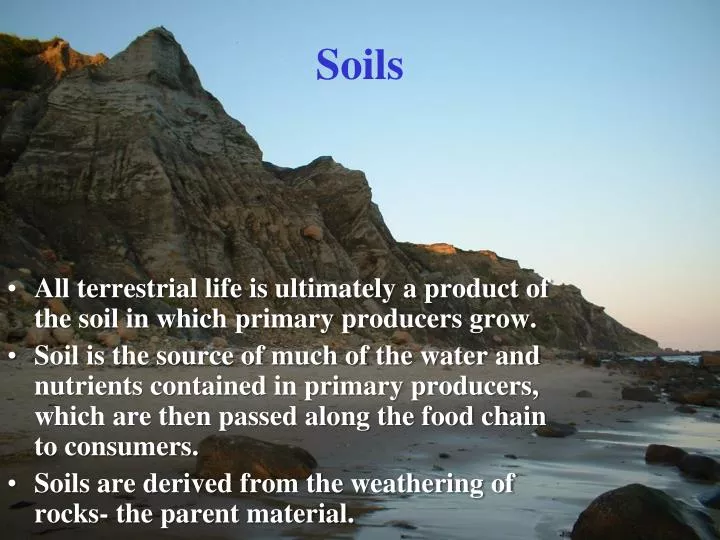 soils