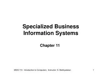 Specialized Business Information Systems
