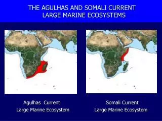 THE AGULHAS AND SOMALI CURRENT LARGE MARINE ECOSYSTEMS