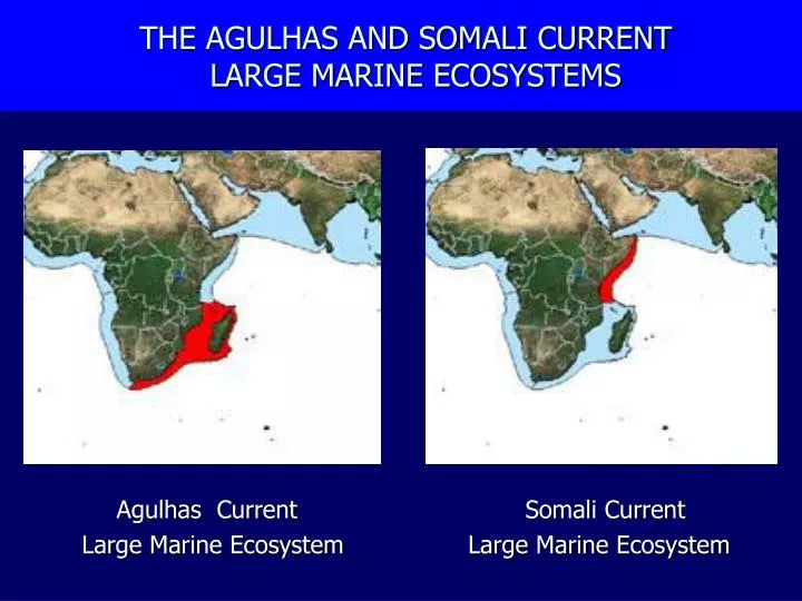 the agulhas and somali current large marine ecosystems