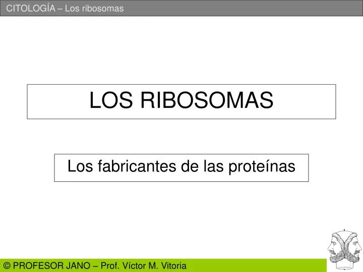 los ribosomas