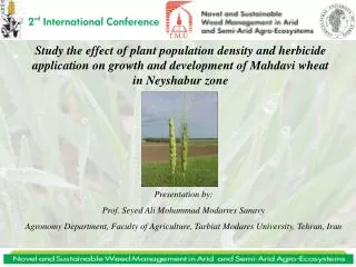 Study the effect of plant population density and herbicide application on growth and development of Mahdavi wheat in Ney