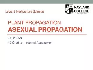Plant Propagation ASEXUAL PROPAGATION