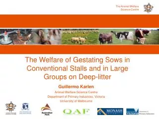 The Welfare of Gestating Sows in Conventional Stalls and in Large Groups on Deep-litter