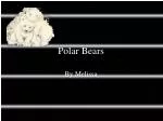 Polar Bears - slide 1