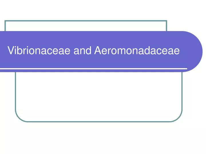vibrionaceae and aeromonadaceae