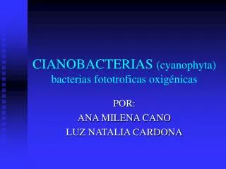 CIANOBACTERIAS (cyanophyta) bacterias fototroficas oxigénicas