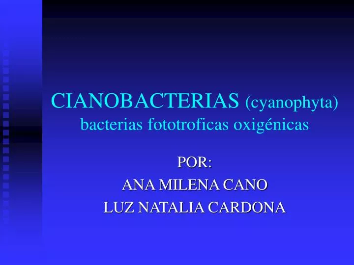 cianobacterias cyanophyta bacterias fototroficas oxig nicas