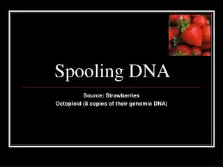 Spooling DNA
