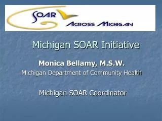Michigan SOAR Initiative