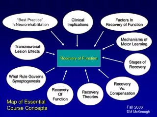 Recovery of Function