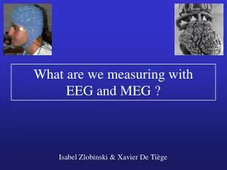 What are we measuring with EEG and MEG ?