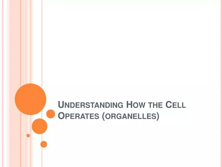 understanding how the cell operates organelles