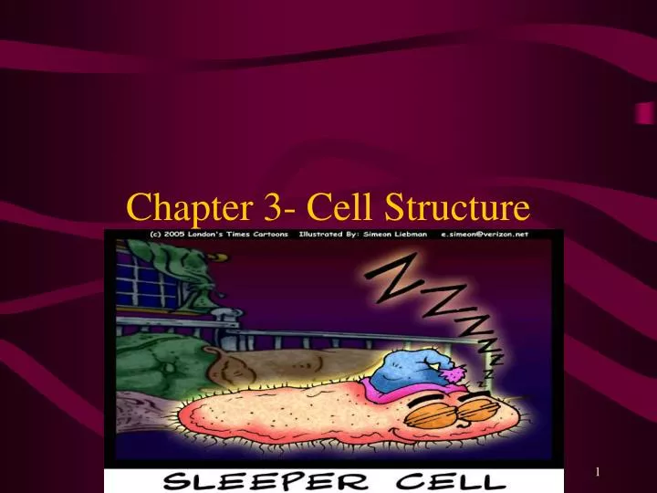 chapter 3 cell structure