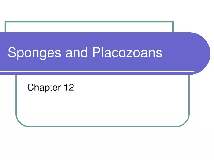 sponges and placozoans