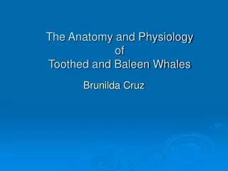 The Anatomy and Physiology of Toothed and Baleen Whales