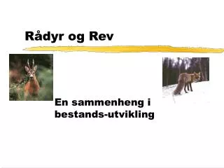 r dyr og rev