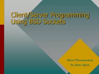 Client/Server Programming Using BSD Sockets