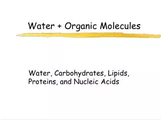 Water + Organic Molecules