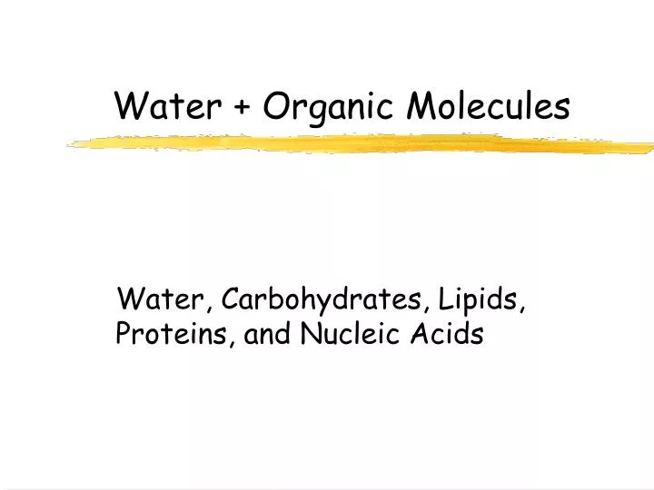 water organic molecules